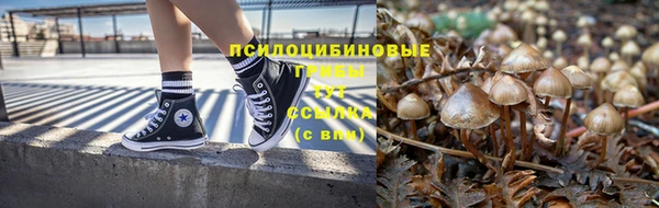 ПСИЛОЦИБИНОВЫЕ ГРИБЫ Каменск-Шахтинский